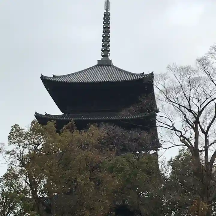 東寺(教王護国寺)の塔