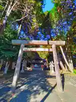 神明社(羽黒堂ヶ洞)の鳥居