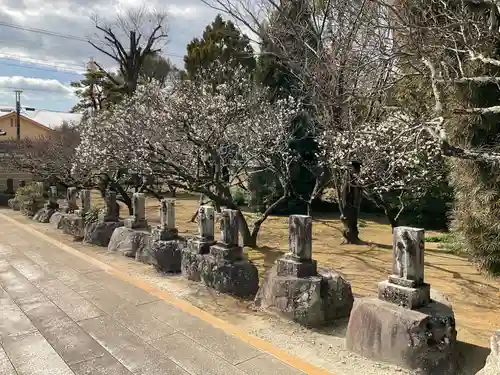 勝福寺(神奈川県)
