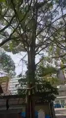 那古野神社の自然