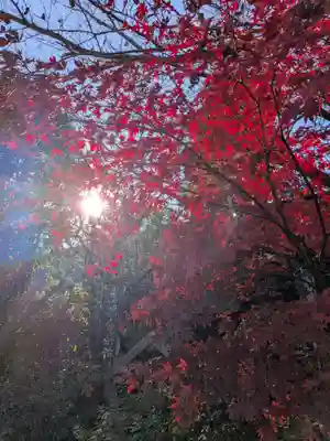 阿佐ヶ谷神明宮(東京都)
