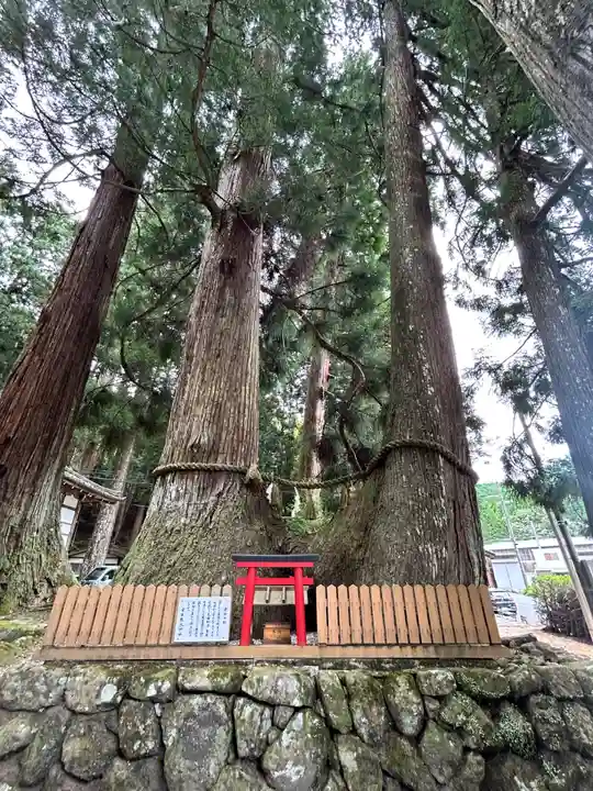 室生龍穴神社(奈良県)