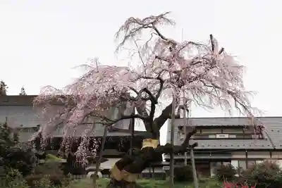 建福寺のその他建物