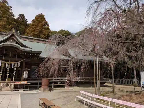常陸第三宮　吉田神社(茨城県)