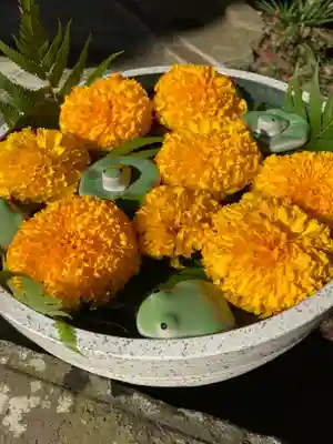 田間神社(千葉県)