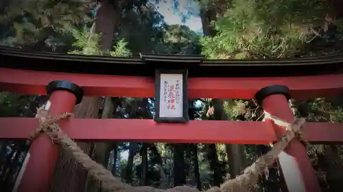 大宮温泉神社の鳥居