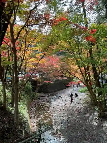 小國神社(静岡県)