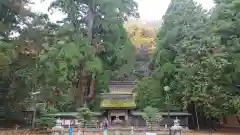 若狭姫神社（若狭彦神社下社）の建物その他