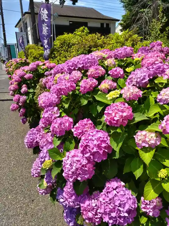 相模原氷川神社(神奈川県)