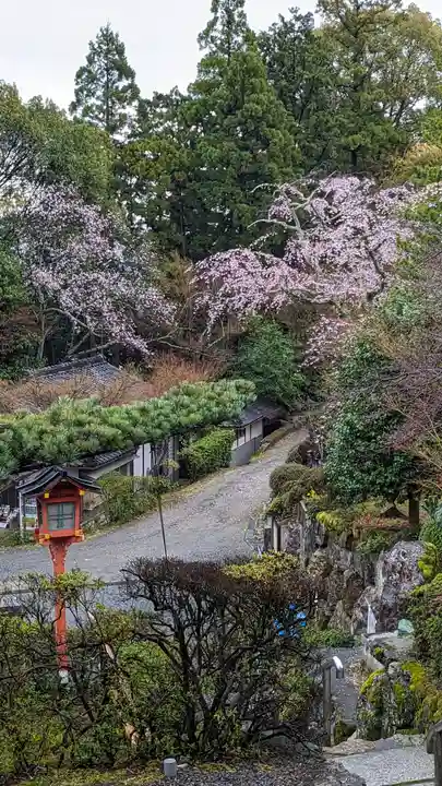 正法寺(京都府)