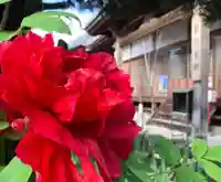 真言宗 善通寺派 薬王寺(香川県)