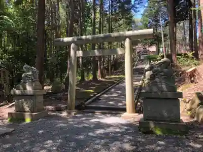 眞名井神社(籠神社奥宮)の鳥居