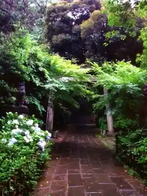 赤坂氷川神社(東京都)