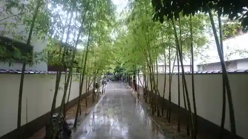 圓應寺のその他建物