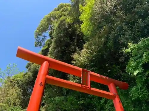 稲荷神社の鳥居