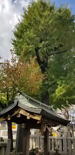 綾瀬神社の自然