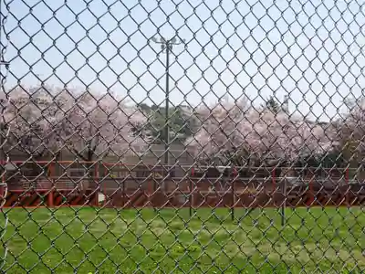 座間神社の周辺