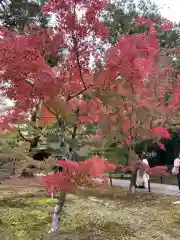 東福禅寺（東福寺）(京都府)