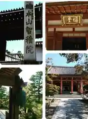  智積院(京都府)