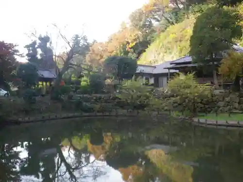 回春院の庭園