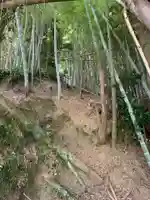 愛宕大権現(千葉県)