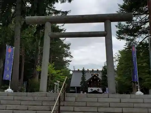 上川神社の鳥居