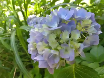 大安禅寺(福井県)