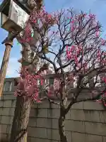 大國神社の{uncategorized: "未分類", other: "その他", undefined: "問題あり", building: "その他建物", grave: "お墓", sacred_gate: "鳥居", guardian: "狛犬", statue: "像", buddha: "仏像", history: "歴史", nature: "自然", garden: "庭園", animal: "動物", pagoda: "塔", temizu: "手水舎", mountain_gate: "山門・神門", sanctuary: "本殿・本堂", subordinate: "末社・摂社", art: "芸術", scenery: "景色", jizo: "地蔵", ema: "絵馬", goshuin: "御朱印", omikuji: "おみくじ", items: "授与品その他", amulet: "お守り", goshuincho: "御朱印帳", eats: "食事", festival: "お祭り", votive_dance: "神楽", shichigosan: "七五三参", wedding: "結婚式", experience: "体験その他", initially: "初詣", around: "周辺", anti_infection: "感染症対策"}