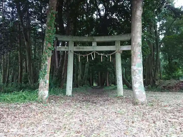 須波神社の鳥居