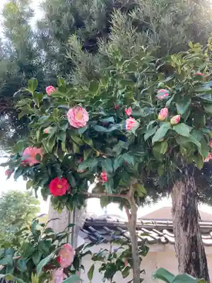 薬王寺(神奈川県)