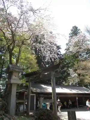 金峯神社(吉野町)の鳥居