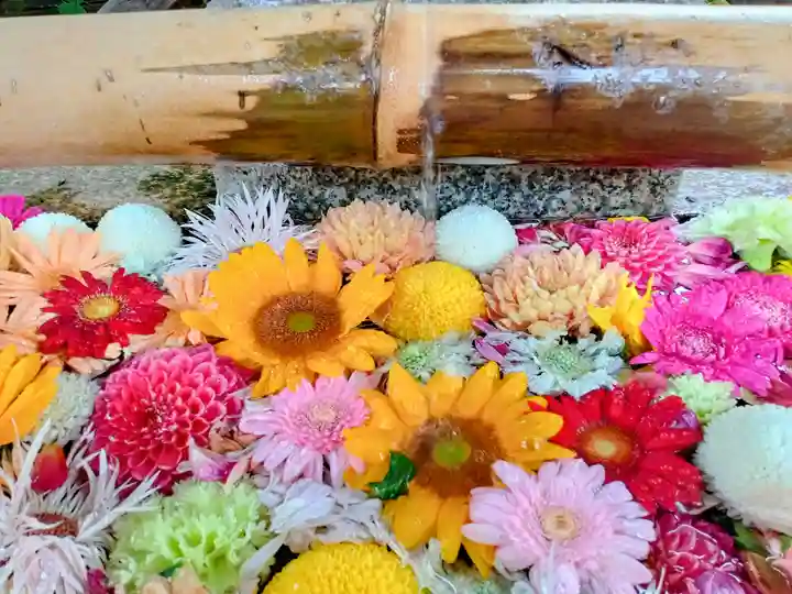 海老江八坂神社(大阪府)