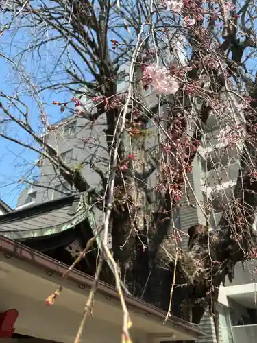 品川寺(東京都)