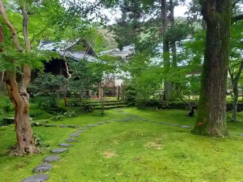 竹林寺の庭園