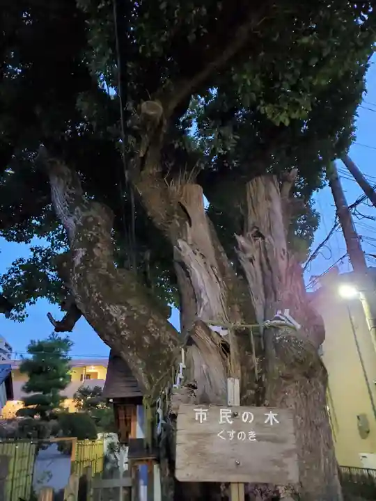 楠大神(兵庫県)