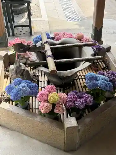 長谷寺(奈良県)
