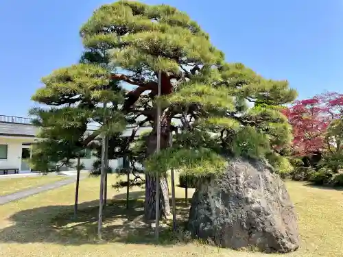 高巌寺(福島県)