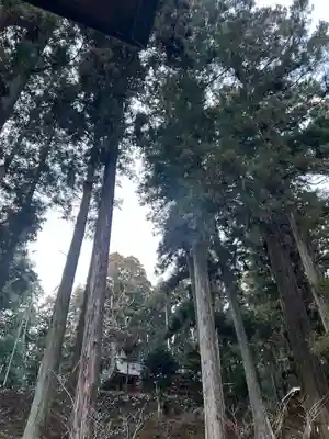 大宮温泉神社(栃木県)