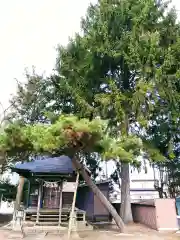 雲峰神社の建物その他