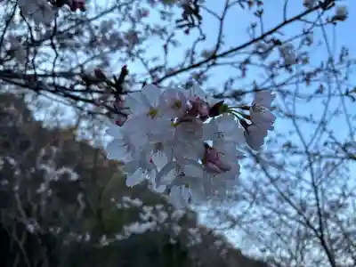 徳島眉山天神社(徳島県)