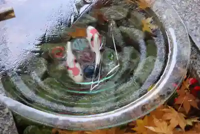 滑川神社 - 仕事と子どもの守り神の手水舎