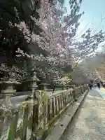 金刀比羅宮の{uncategorized: "未分類", other: "その他", undefined: "問題あり", building: "その他建物", grave: "お墓", sacred_gate: "鳥居", guardian: "狛犬", statue: "像", buddha: "仏像", history: "歴史", nature: "自然", garden: "庭園", animal: "動物", pagoda: "塔", temizu: "手水舎", mountain_gate: "山門・神門", sanctuary: "本殿・本堂", subordinate: "末社・摂社", art: "芸術", scenery: "景色", jizo: "地蔵", ema: "絵馬", goshuin: "御朱印", omikuji: "おみくじ", items: "授与品その他", amulet: "お守り", goshuincho: "御朱印帳", eats: "食事", festival: "お祭り", votive_dance: "神楽", shichigosan: "七五三参", wedding: "結婚式", experience: "体験その他", initially: "初詣", around: "周辺", anti_infection: "感染症対策"}