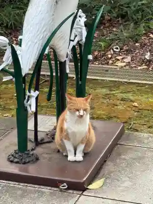 淨眞寺(東京都)