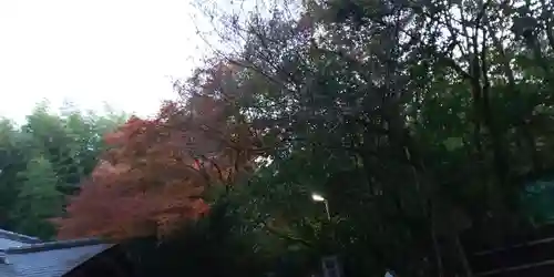 野宮神社のその他建物