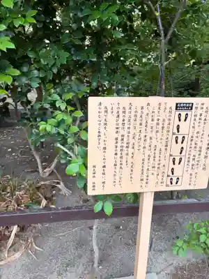 岡太神社(兵庫県)