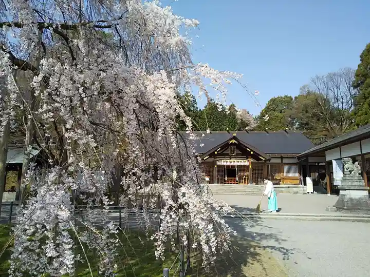 足羽神社のその他建物