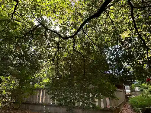 布多天神社の塔