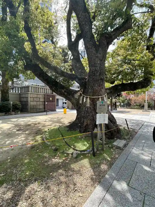 難波神社の自然