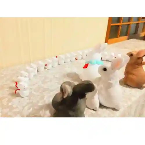 彌彦神社　(伊夜日子神社)のおみくじ