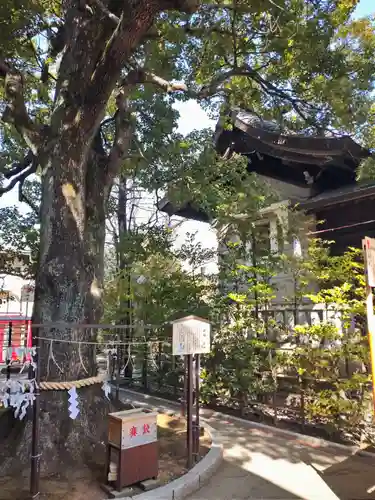 溝口神社(神奈川県)